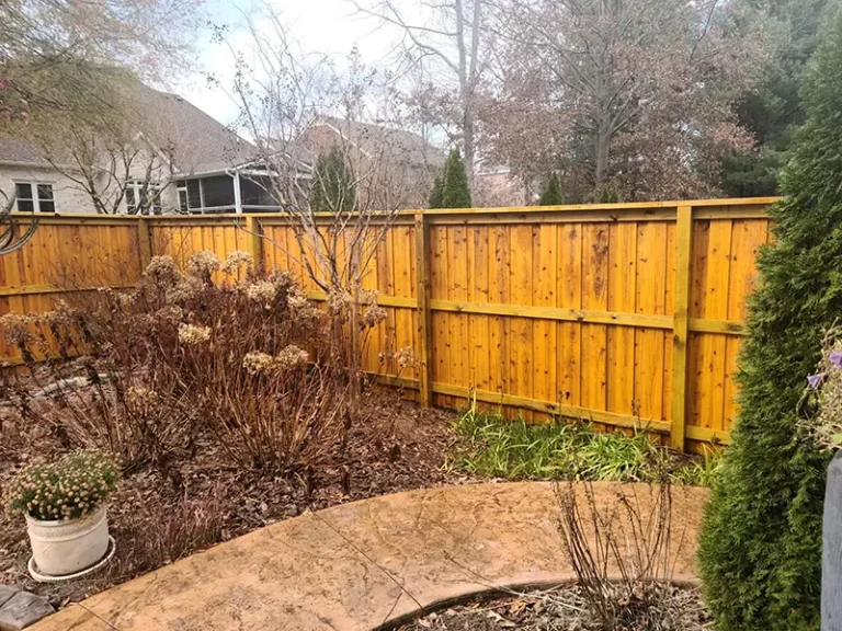 A stained wood fence surrounding a back yard garden. First Step Fence offers exterior wood staining to Richmond, VA and the surrounding areas.