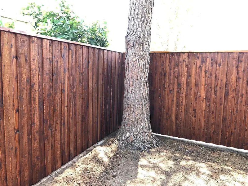 A stained wood fence with a tree in the corner. First Step Fence offers exterior wood staining to Richmond, VA and the surrounding areas.