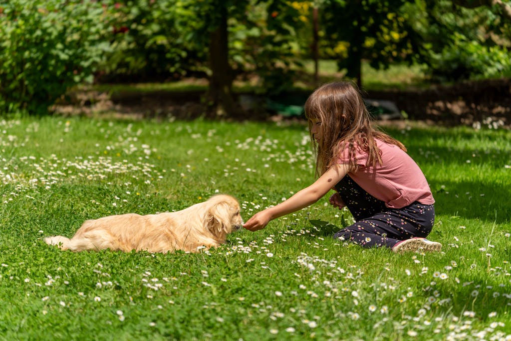 A young girl gently interacts with a golden retriever puppy in a sunny park. Your family and lifestyle affect what you need in a perfect fence.