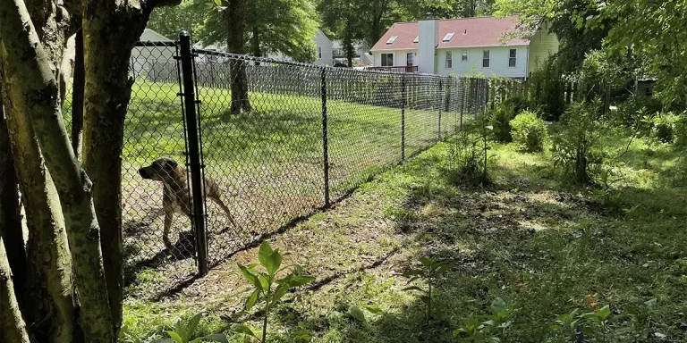 How Fences Improve Security: Protecting Your Home, Family, and Pets