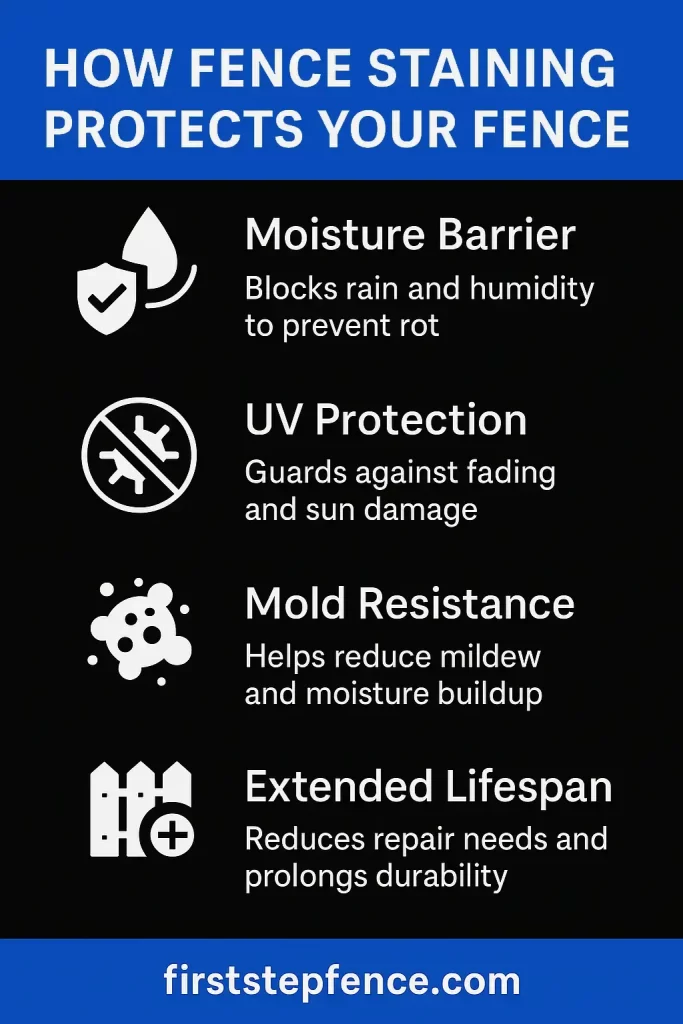 How fence staining protects your fence infographic.
